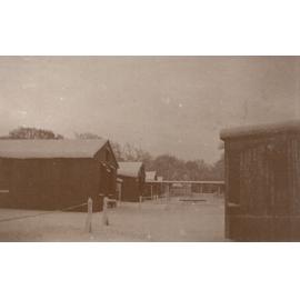 Photo from page 36 of album WWI Photograph Album - Medical Staff & Nurses: Egypt and England
