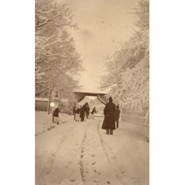 Photo from page 36 of album WWI Photograph Album - Medical Staff & Nurses: Egypt and England