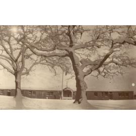 Photo from page 36 of album WWI Photograph Album - Medical Staff & Nurses: Egypt and England