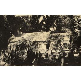 Photo from page 37 of album WWI Photograph Album - Medical Staff & Nurses: Egypt and England