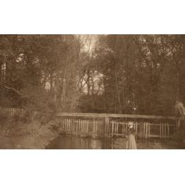 Photo from page 40 of album WWI Photograph Album - Medical Staff & Nurses: Egypt and England