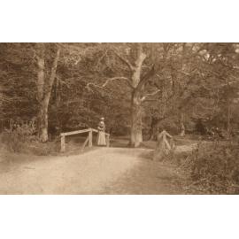 Photo from page 40 of album WWI Photograph Album - Medical Staff & Nurses: Egypt and England