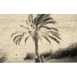 Photo from page 49 of album WWI Photograph Album - Medical Staff & Nurses: Egypt and England