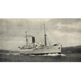 Photo from page 52 of album WWI Photograph Album - Medical Staff & Nurses: Egypt and England