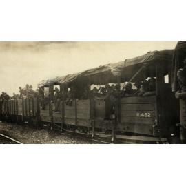 Photo from page 01 of album WWI Photograph Album - Western Front