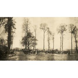 Photo from page 12 of album WWI Photograph Album - Western Front