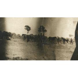 Photo from page 14 of album WWI Photograph Album - Western Front