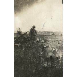 Photo from page 19 of album WWI Photograph Album - Western Front