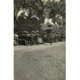 Photo from page 05 of album WWI Photograph Album - Egypt & Gallipoli
