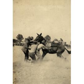 Photo from page 05 of album WWI Photograph Album - Egypt & Gallipoli