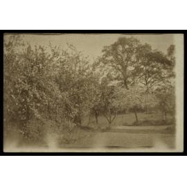 WWI Photograph Album - England [loose photo]