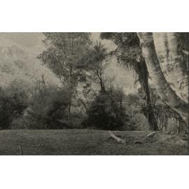 Photo from page 05 of album WWI Photograph Album - Nurses and Medical Staff in New Zealand