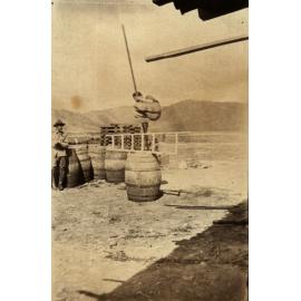 Photo from page 04 of album