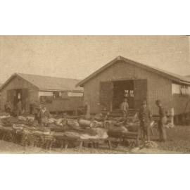 Photo from page 05 of album