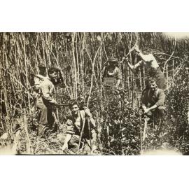 Photo from page 06 of album