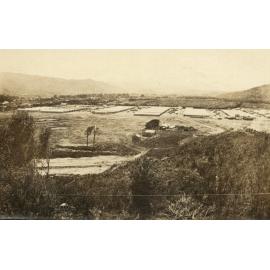 Photo from page 06 of album