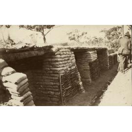 Photo from page 07 of album