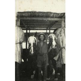 Photo from page 09 of album WWI Photograph Album - Egypt.