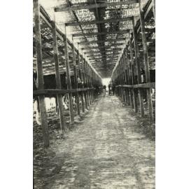 Photo from page 10 of album WWI Photograph Album - Egypt.