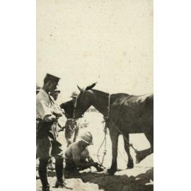 Photo from page 11 of album WWI Photograph Album - Egypt.