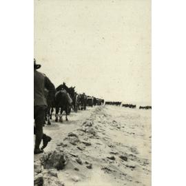 Photo from page 12 of album WWI Photograph Album - Egypt.