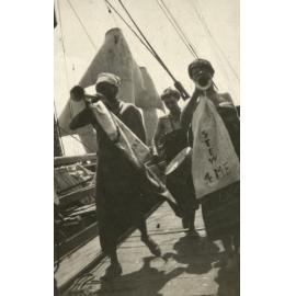 Photo from page 12 of album WWI Photograph Album - Egypt.