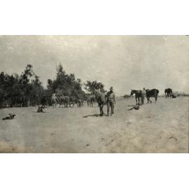 Photo from page 13 of album WWI Photograph Album - Egypt.