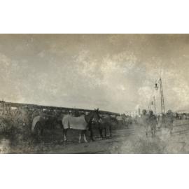 Photo from page 13 of album WWI Photograph Album - Egypt.