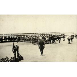 Photo from page 13 of album WWI Photograph Album - Egypt.