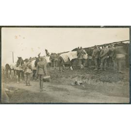 Photo from page 02 of album WWI Photograph Album - Egypt & Gallipoli