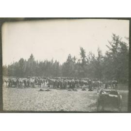 Photo from page 03 of album WWI Photograph Album - Egypt & Gallipoli