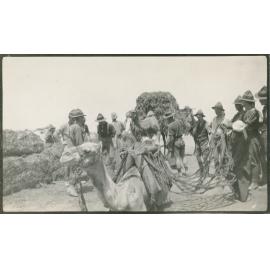 Photo from page 04 of album WWI Photograph Album - Egypt & Gallipoli