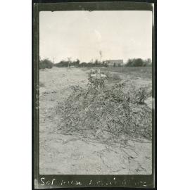 Photo from page 07 of album WWI Photograph Album - Egypt & Gallipoli