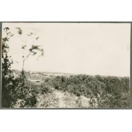 Photo from page 12 of album WWI Photograph Album - Egypt, Gallipoli & Western Front.