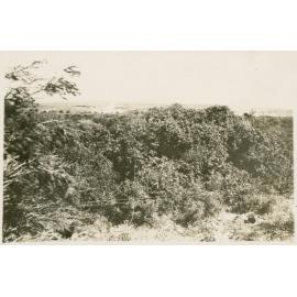 Photo from page 12 of album WWI Photograph Album - Egypt, Gallipoli & Western Front.