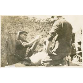 Photo from page 12 of album WWI Photograph Album - Egypt, Gallipoli & Western Front.