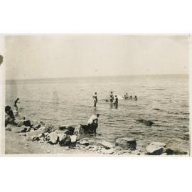 Photo from page 12 of album WWI Photograph Album - Egypt, Gallipoli & Western Front.
