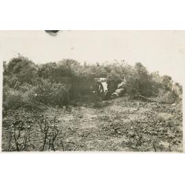 Photo from page 13 of album WWI Photograph Album - Egypt, Gallipoli & Western Front.