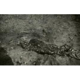 Photo from page 03 of album WWI Photograph Album - Gallipoli, Egypt, Western Front and England.