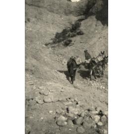 Photo from page 08 of album WWI Photograph Album - Gallipoli, Egypt, Western Front and England.