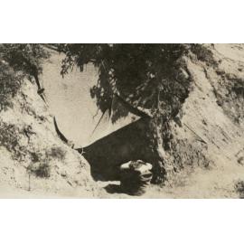 Photo from page 09 of album WWI Photograph Album - Gallipoli, Egypt, Western Front and England.