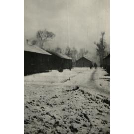 Photo from page 13 of album WWI Photograph Album - Gallipoli, Egypt, Western Front and England.