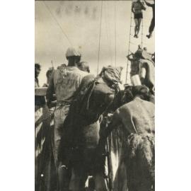 Photo from page 14 of album WWI Photograph Album - Gallipoli, Egypt, Western Front and England.