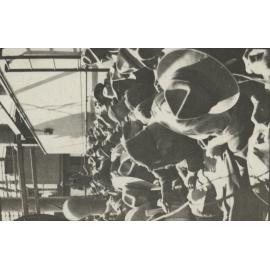 Photo from page 03 of album WWI Photograph Album - Western Front.