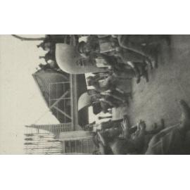 Photo from page 03 of album WWI Photograph Album - Western Front.