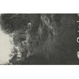 Photo from page 04 of album WWI Photograph Album - Western Front.