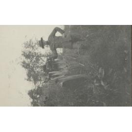 Photo from page 05 of album WWI Photograph Album - Western Front.