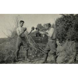 Photo from page 07 of album WWI Photograph Album - Western Front.