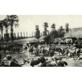 Photo from page 10 of album WWI Photograph Album - Western Front.