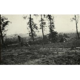 Photo from page 11 of album WWI Photograph Album - Western Front.